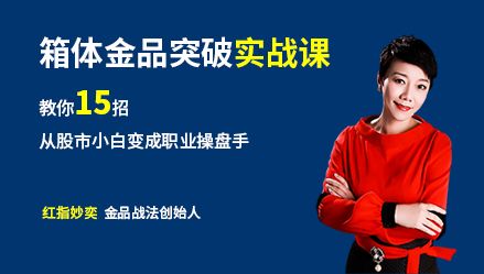 红指妙奕《股市实战课：从小白到职业操盘手》