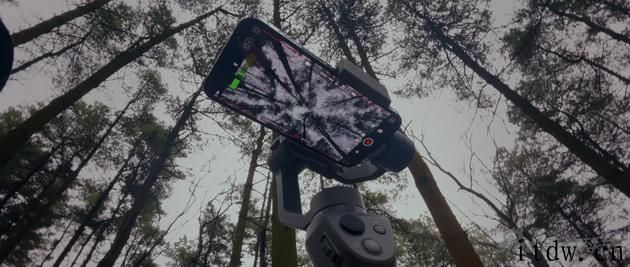 iPhone 2021 新春短片《阿年》上线：从另一个角度讲一个新 “年”的小故事
