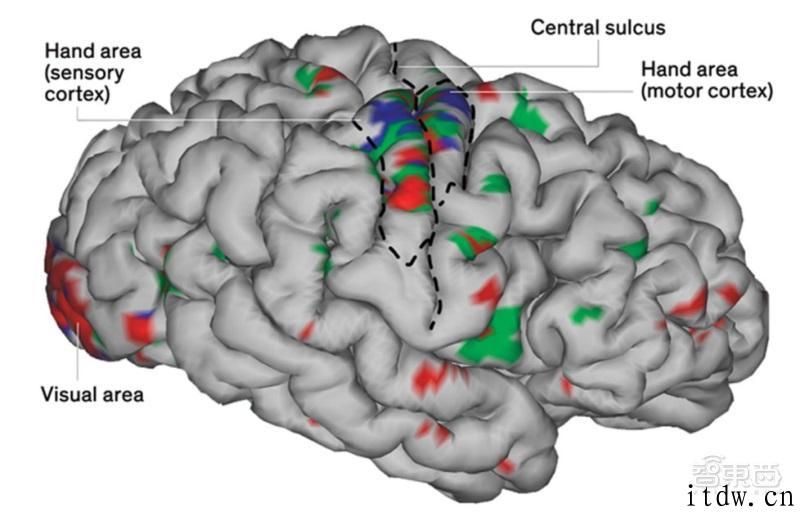 硬核：科学家打造出整套人工神经系统，让瘫痪病人再次操纵身体