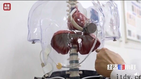 国产全磁悬浮人工心脏产品研发取得成功：重量与手机上非常，商用落地時间暂不准确