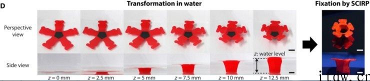 韩国科学家要用这支马克笔，送你一朵 3D 打印小红花