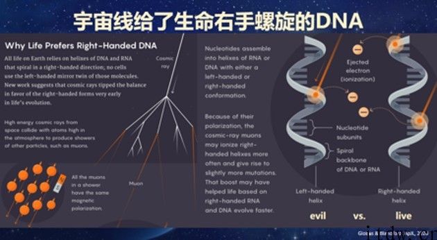 从地球走向太空：人类航天探索历程