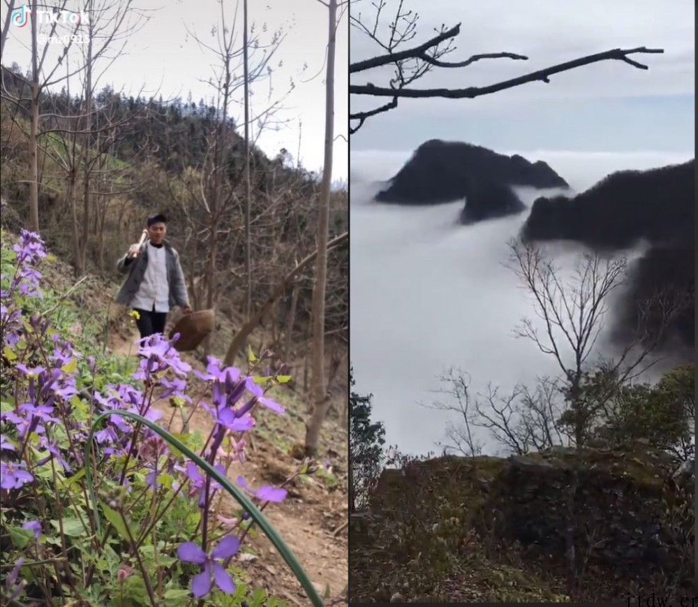 李子柒以后，TikTok 上的中国乡野美食受欢迎