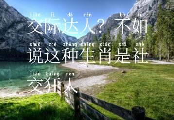 交际达人？不如说这种生肖是社交狂人