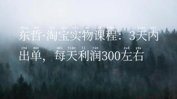 东哲·淘宝实物课程：3天内出单，每天利润300左右