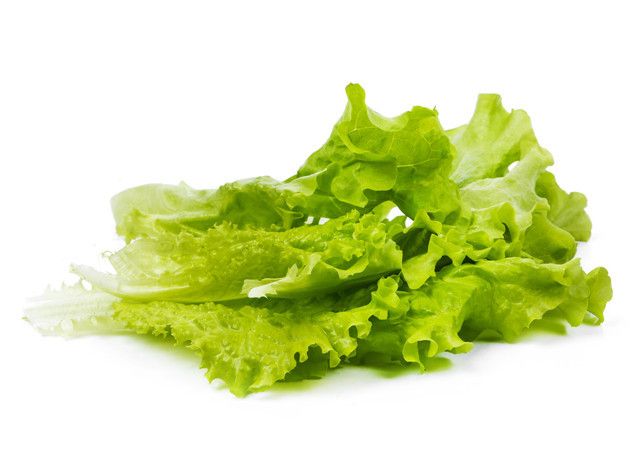生菜和莴笋叶子一样吗?