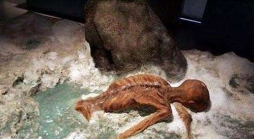 类似于真实的十大未解之谜