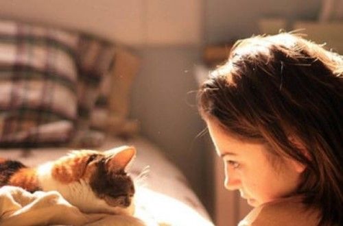 猫咪恨主人的十种表现 感兴趣的不妨一起往下看