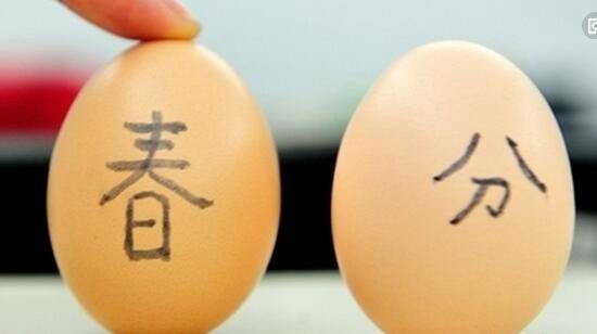 任何一天都能竖鸡蛋 春分竖蛋