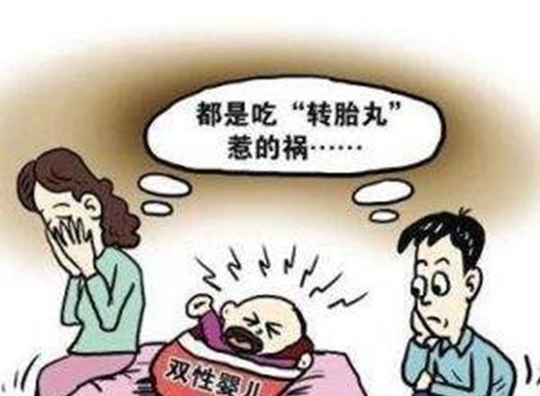 胎儿性别是由什么决定的