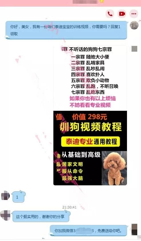 什么都不懂在网络上做什么赚钱呢  网赚项目  第18张