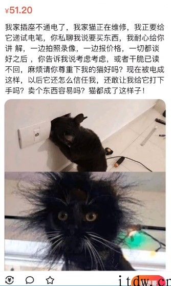 闲鱼上的沙雕文学家，一个比一个离谱
