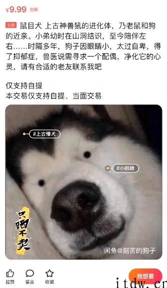 闲鱼上的沙雕文学家，一个比一个离谱