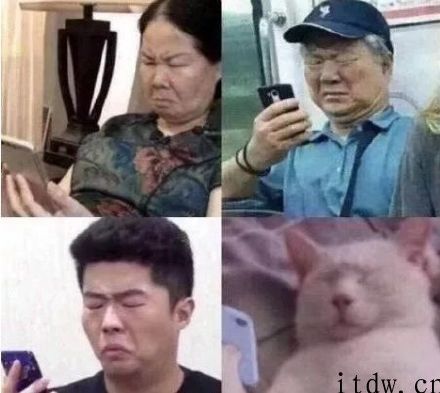 闲鱼上的沙雕文学家，一个比一个离谱