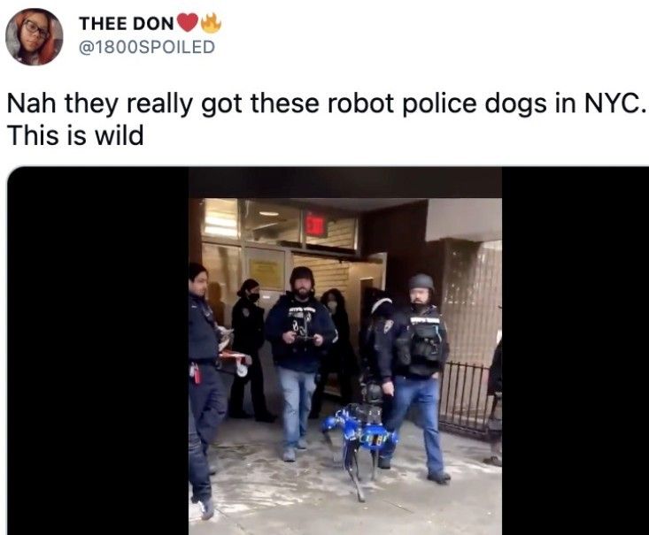 波士顿动力警犬被禁用