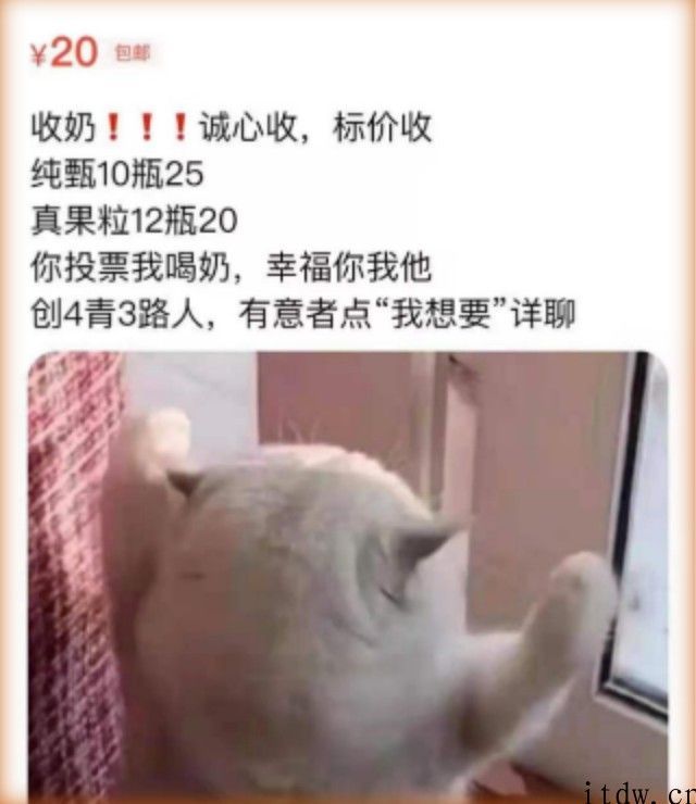 这些全网“收奶”的做局者，也是选秀身后的割韭菜者