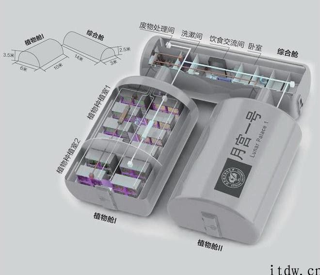 “月宫一号”总设计师刘红：下一步，我们去外太空