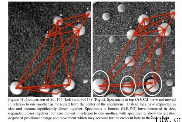 科学家根据图片分析推测火星或存有真菌