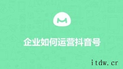 馒头商学院《如何运营一个完美的企业抖音号》