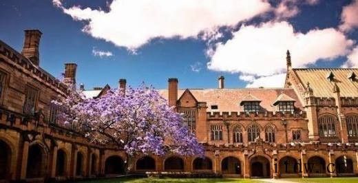 迪肯大学留学省钱技巧