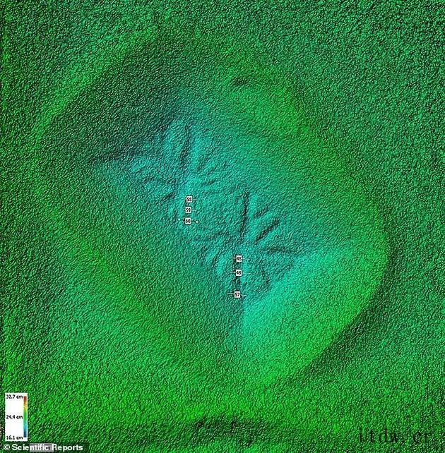 火星表面类似蜘蛛结构首次发现 研究人员证实长期以来倍受争议