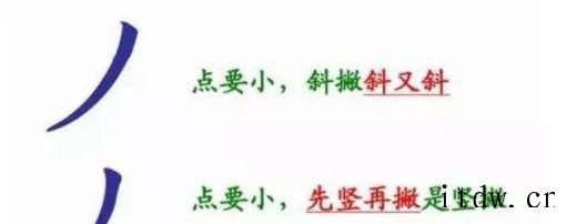 写字课程教会孩子28种笔画 怎么写点横撇竖捺