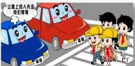 小学生交通安全教育