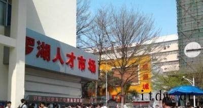 怎么查自己的档案？