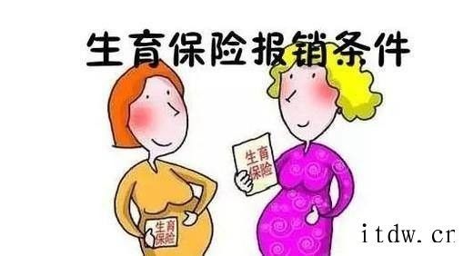 社保中的生育保险怎么用？