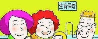 社保中的生育保险怎么用？