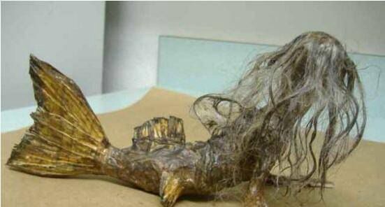 海底有美妙的美人鱼,它们人头想鱼身,人们对这一种生物一直有着