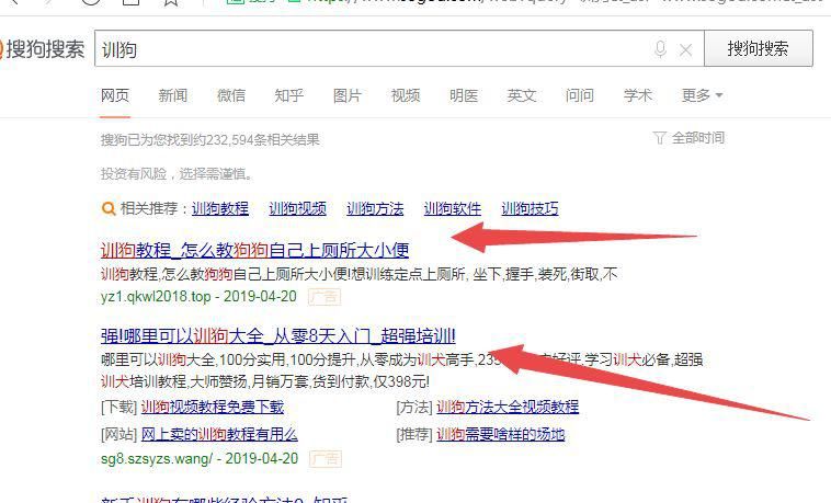 什么都不懂在网络上做什么赚钱呢