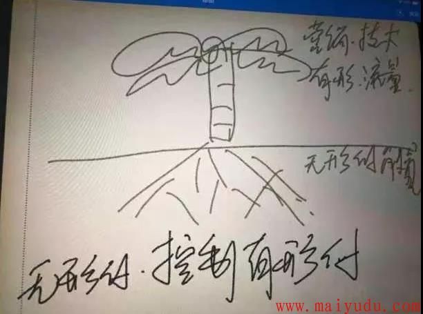 顶级网赚高手是怎么赚钱的？顶级网赚高手有啥赚钱秘密？  网赚项目  第2张