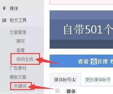 低成本搜索引擎排名网赚技术，简单几步做到长期精准引流  网赚项目  第11张