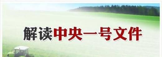 一号文件对农民有什么好处