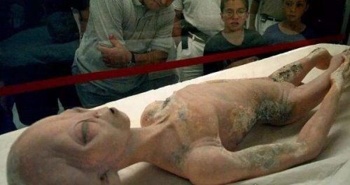 事件背后真相 后来经过调查,终于真相大白!