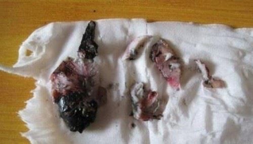 简直比起北京男女水坑虐猫事件更加残忍!