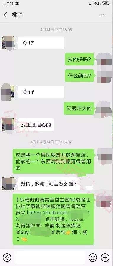 什么都不懂在网络上做什么赚钱呢  网赚项目  第21张