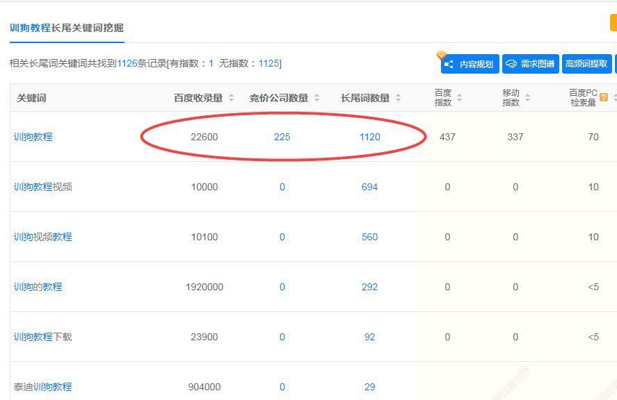 什么都不懂在网络上做什么赚钱呢