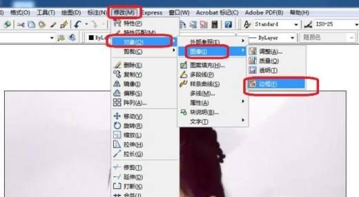 CAD中插入图片显示边框怎么取消?（如何去掉cad中图片的边框）