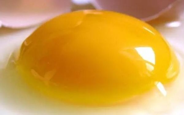 史上最多蛋黄的鸡蛋 鸡蛋黄每天吃几个最合适