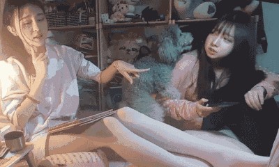 女生不能养泰迪的原因 买了一只母泰迪