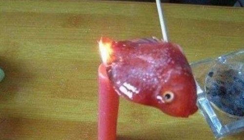 简直比起北京男女水坑虐猫事件更加残忍!