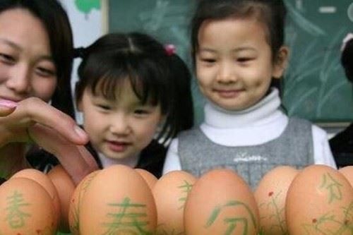 任何一天都能竖鸡蛋 春分竖蛋