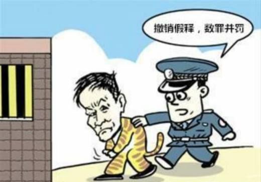 假释和减刑有什么区别