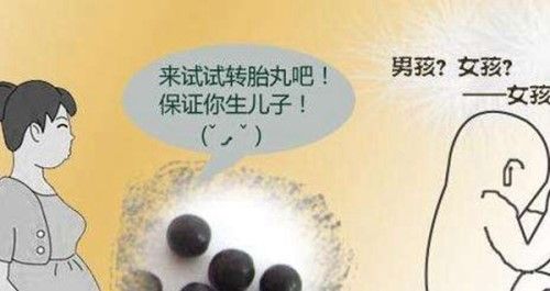 胎儿性别是由什么决定的