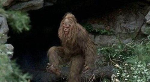 类似于真实的十大未解之谜