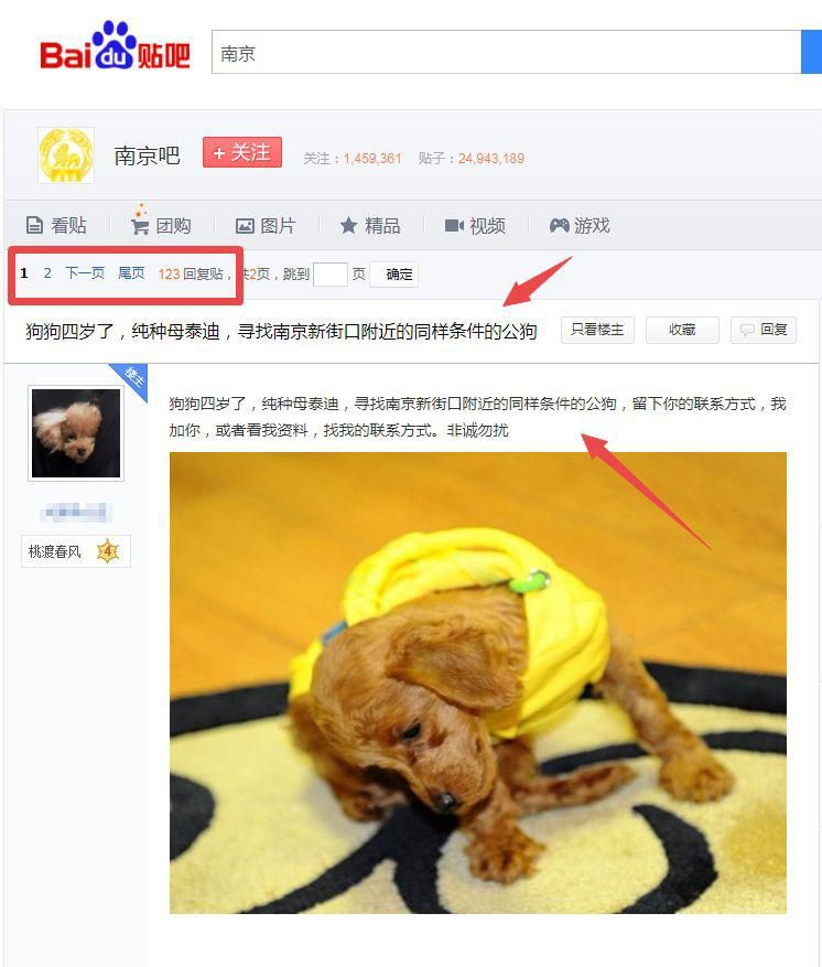 什么都不懂在网络上做什么赚钱呢  网赚项目  第6张