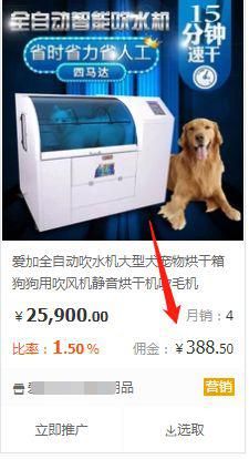 什么都不懂在网络上做什么赚钱呢  网赚项目  第25张