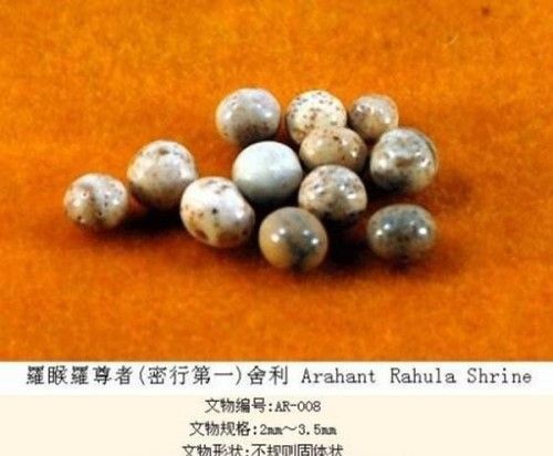 类似于真实的十大未解之谜